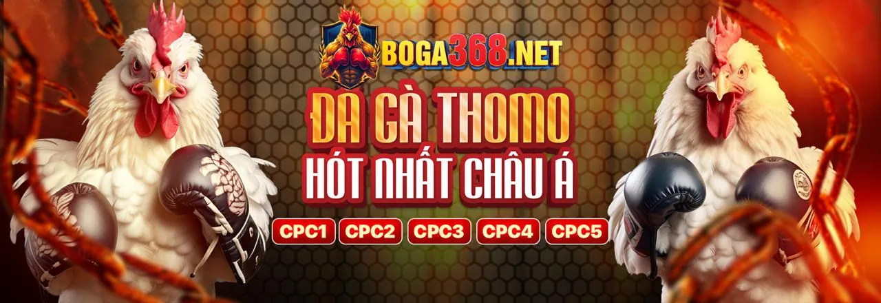 Sân chơi Casino Trực Tuyến Cdbet Trang Chủ